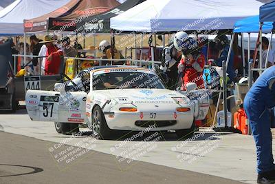 media/Oct-14-2023-Lucky Dog Racing (Sat) [[cef75db616]]/1st to 2nd Stint Driver Change/